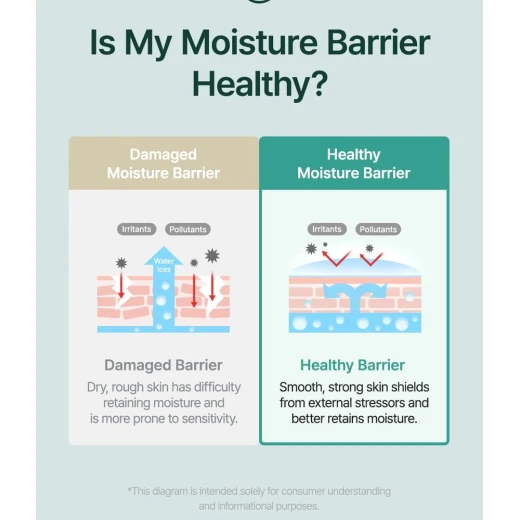 Purito Mighty Bamboo Panthenol Cream 100ml Barrier-Strengthening, Hydrating Moisturizer with Squalane & Bamboo Vegan & Fragrance-Free - PURITO - Image 3