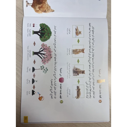 قصة ماذا رأيت؟ - مؤسسة التفكر - Image 3