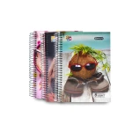 دفتر جامعي 6 مواضيع غلاف مقوى - برافو