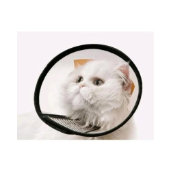 Pets Protective Collar , One Size