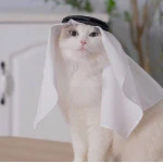 شماغ مع عقال انيق للقطة من بيتس ، مقاس واحد - بتس
