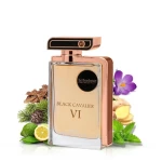 عطر لـو بونير بلاك كافالير VI أودي بارفيوم 100 مل، إصدار "السادس" الفاخر بنفحات خشبية عميقة تعكس القوة والأناقة الملكية - لابونير