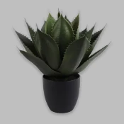 Artificial Plants & Greenery
