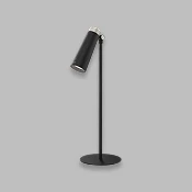 Desk Lamps