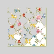 Disposable Napkins