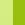 Neon Green